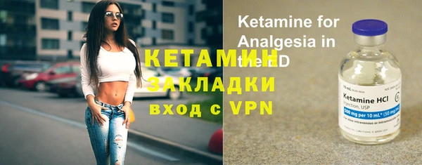 шишки Вязьма
