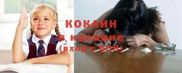 шишки Вязьма
