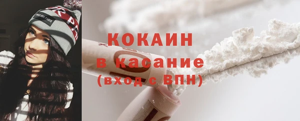 шишки Вязьма