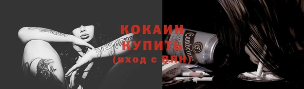шишки Вязьма
