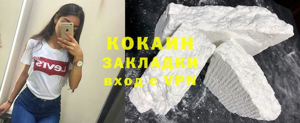 шишки Вязьма
