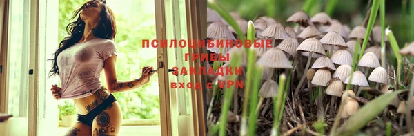 первитин Вяземский